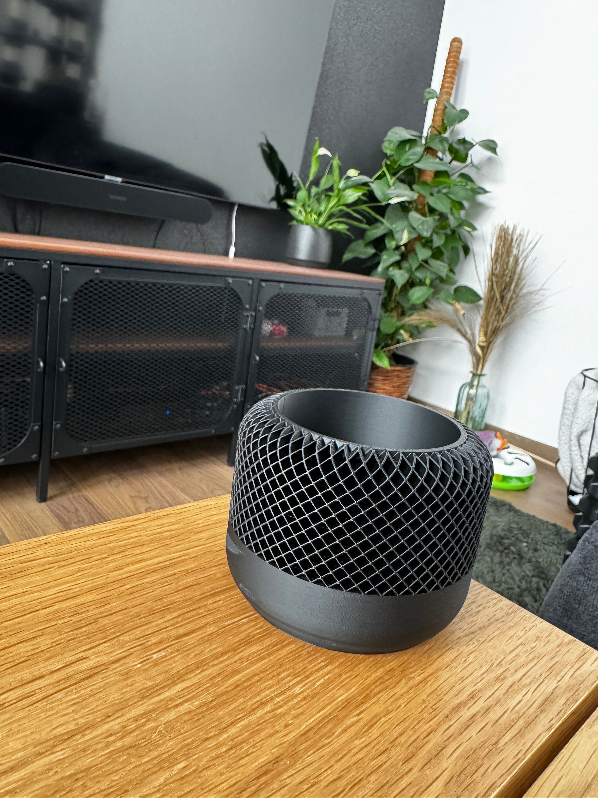 Apple Home Pod - Plant Pot
