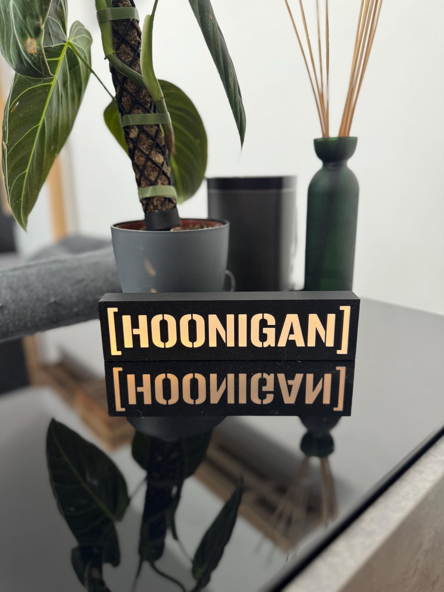 Hoonigan Lightbox – Handgefertigtes LED-Dekolicht für Motorsport-Fans