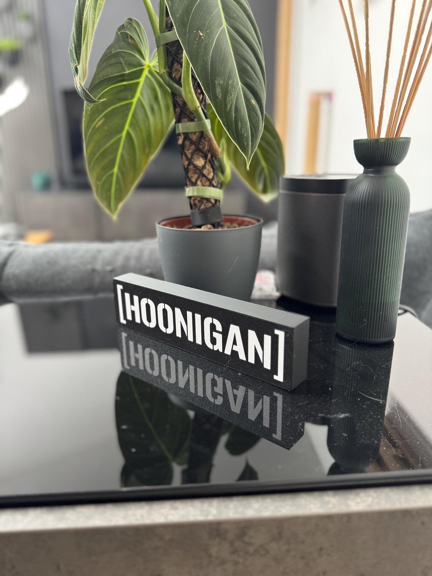 Hoonigan Lightbox – Handgefertigtes LED-Dekolicht für Motorsport-Fans
