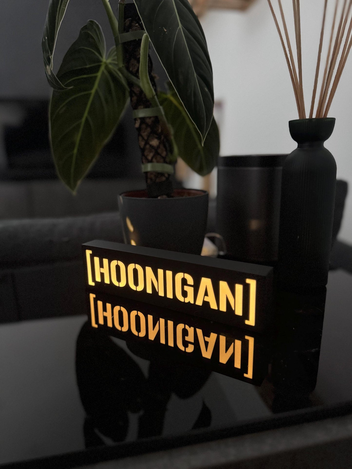 Hoonigan Lightbox – Handgefertigtes LED-Dekolicht für Motorsport-Fans