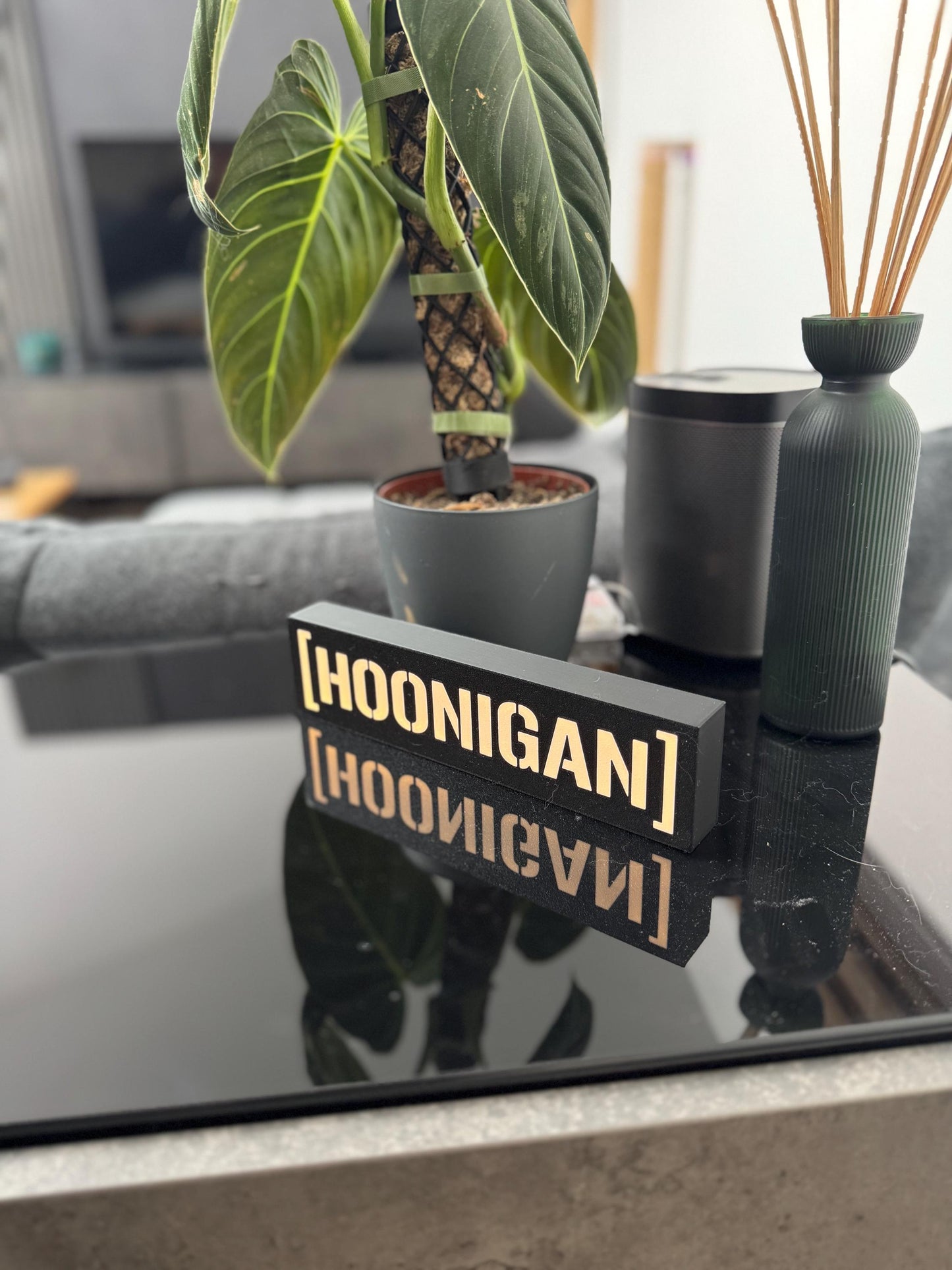Hoonigan Lightbox – Handgefertigtes LED-Dekolicht für Motorsport-Fans