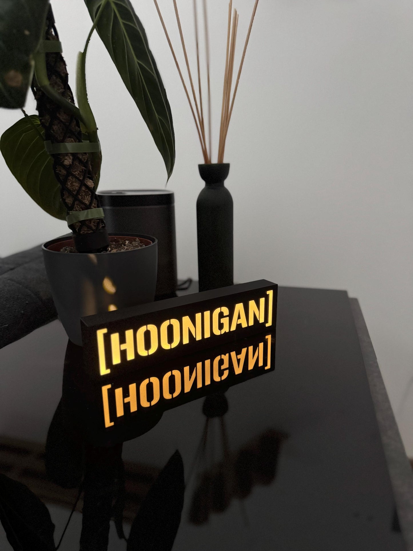 Hoonigan Lightbox – Handgefertigtes LED-Dekolicht für Motorsport-Fans
