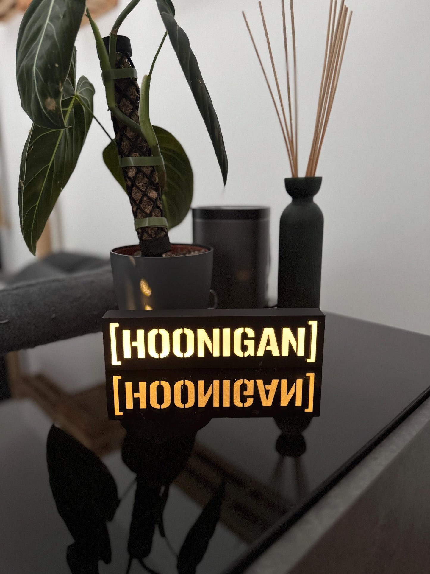 Hoonigan Lightbox – Handgefertigtes LED-Dekolicht für Motorsport-Fans