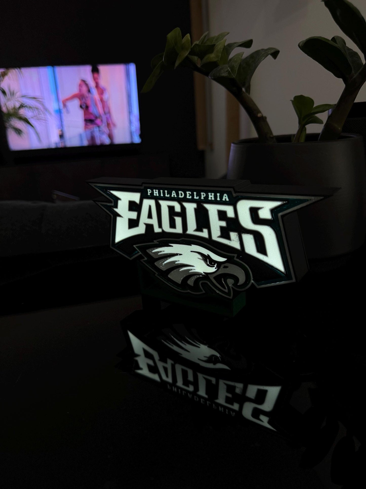 Philadelphia Eagles Lightbox – Perfekte Deko für echte Fans!