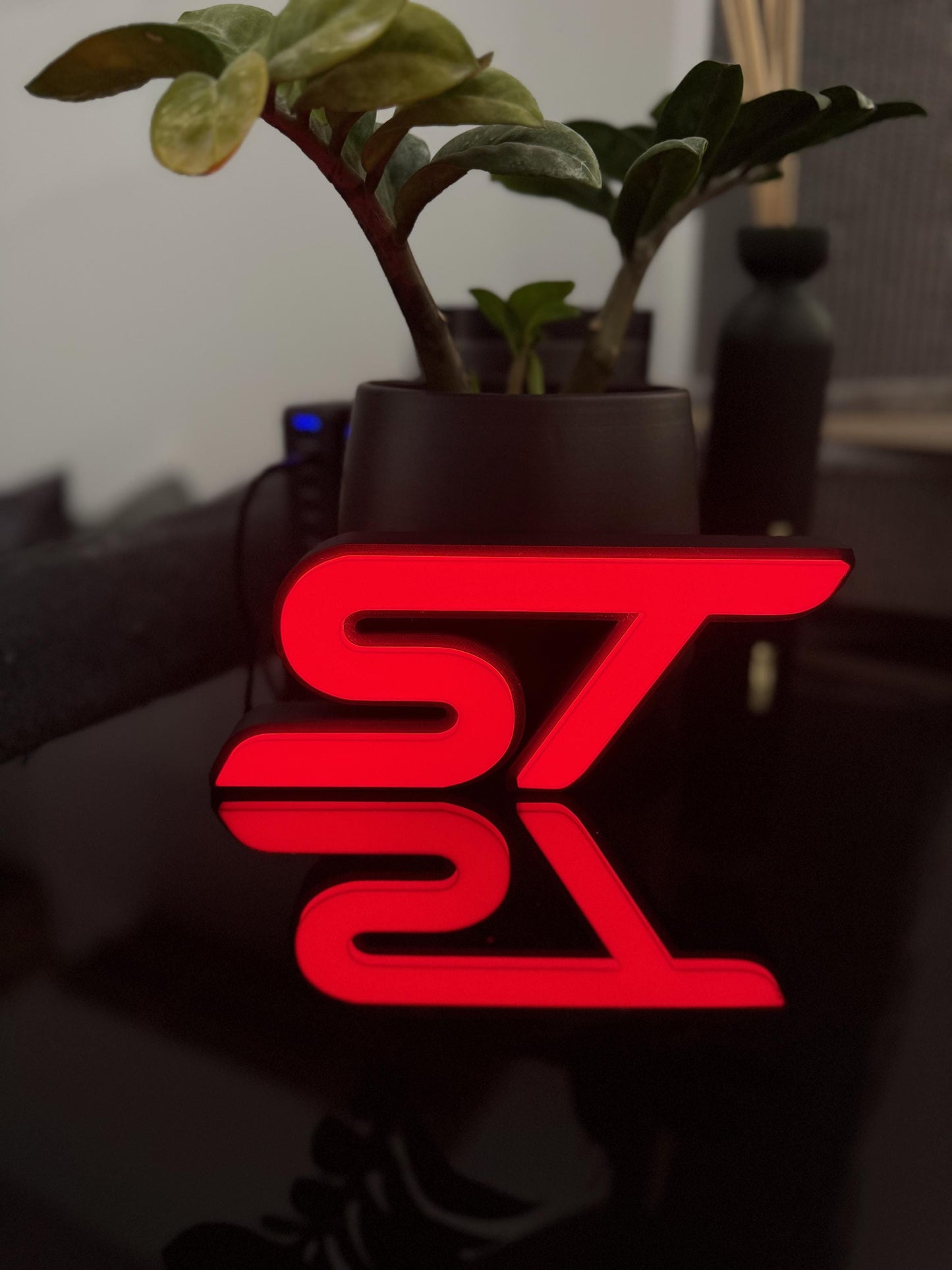 Ford ST Lightbox – Stylische Beleuchtung für echte Fans!