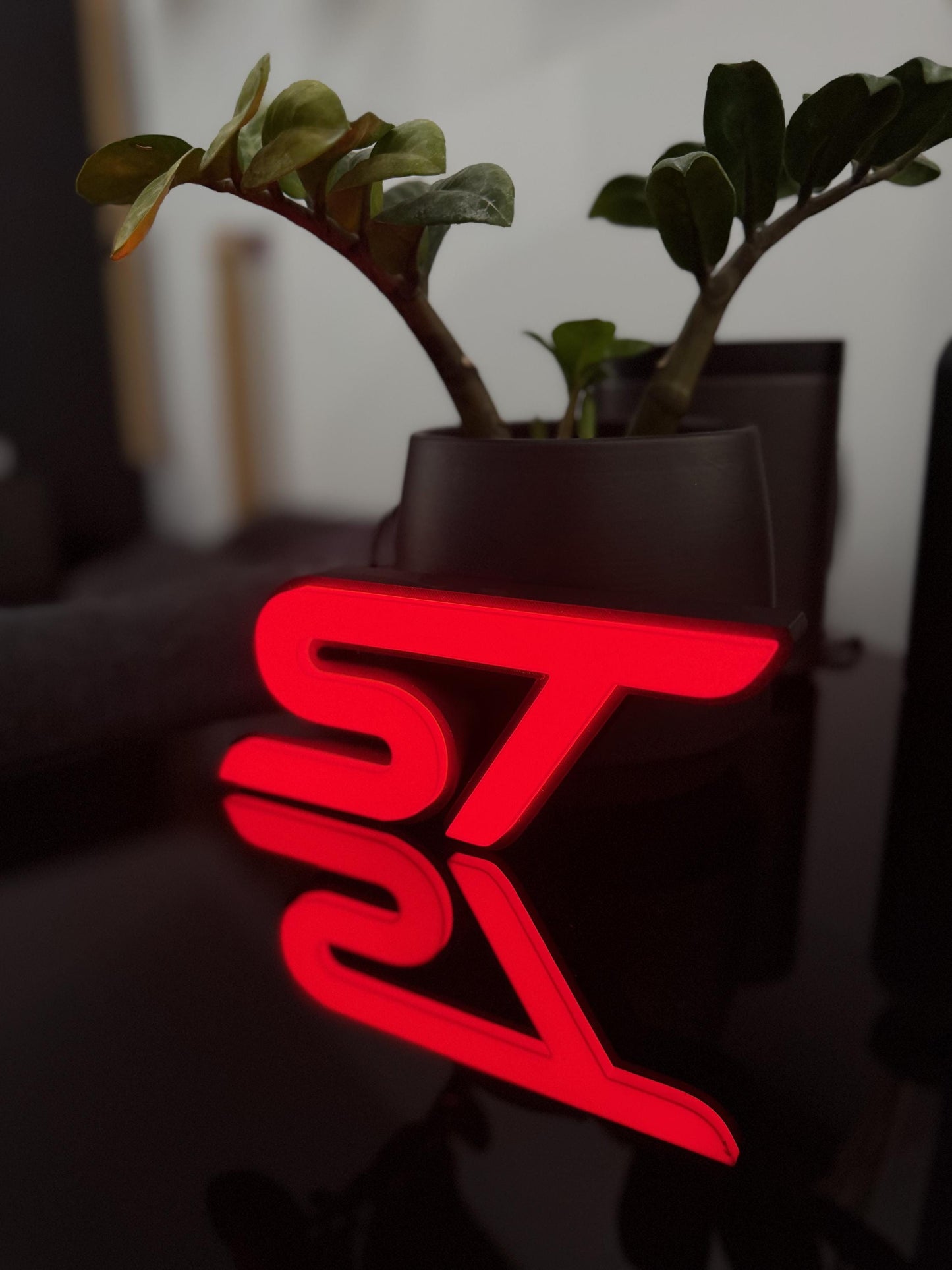 Ford ST Lightbox – Stylische Beleuchtung für echte Fans!