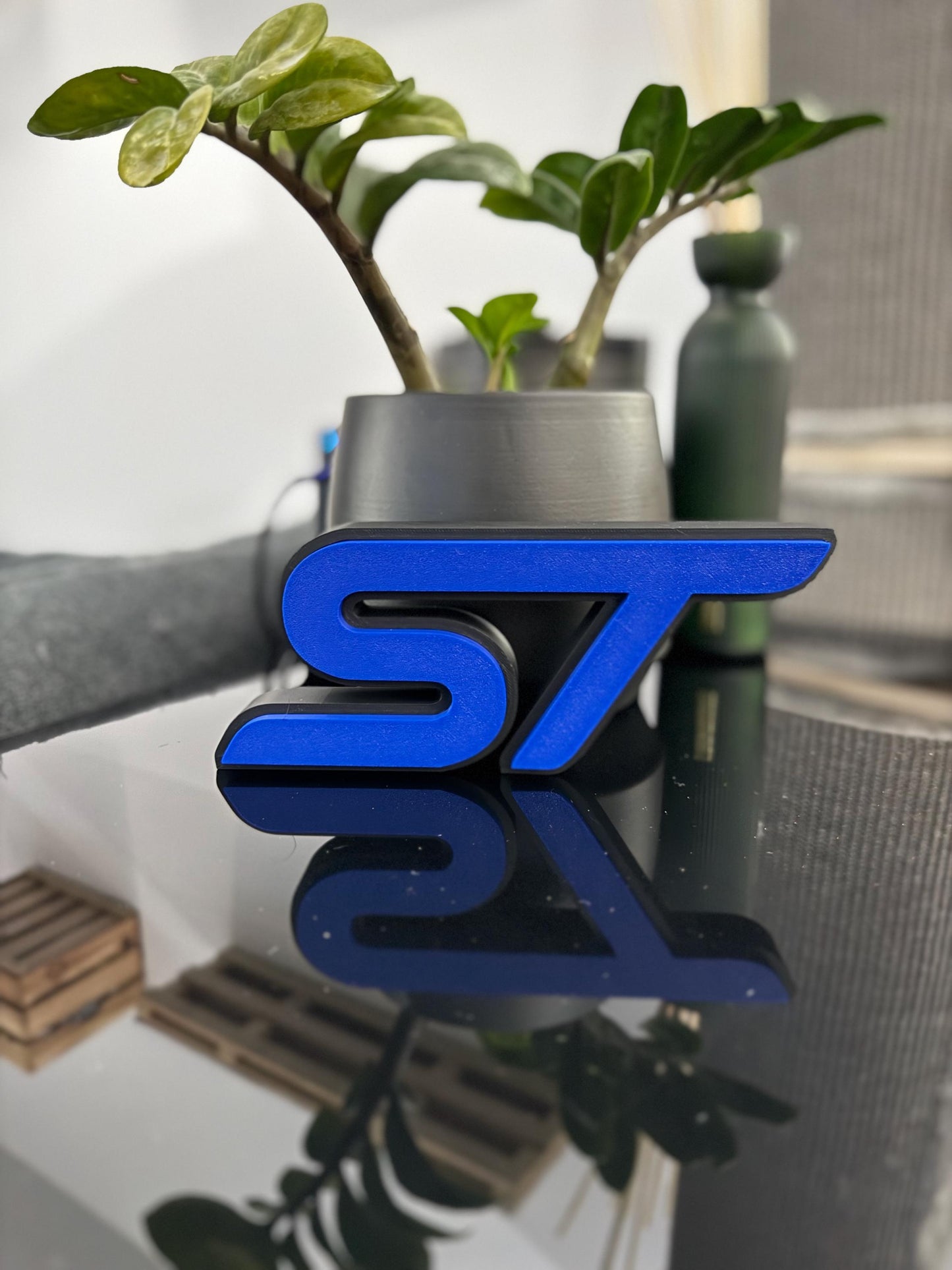Ford ST Lightbox – Stylische Beleuchtung für echte Fans!