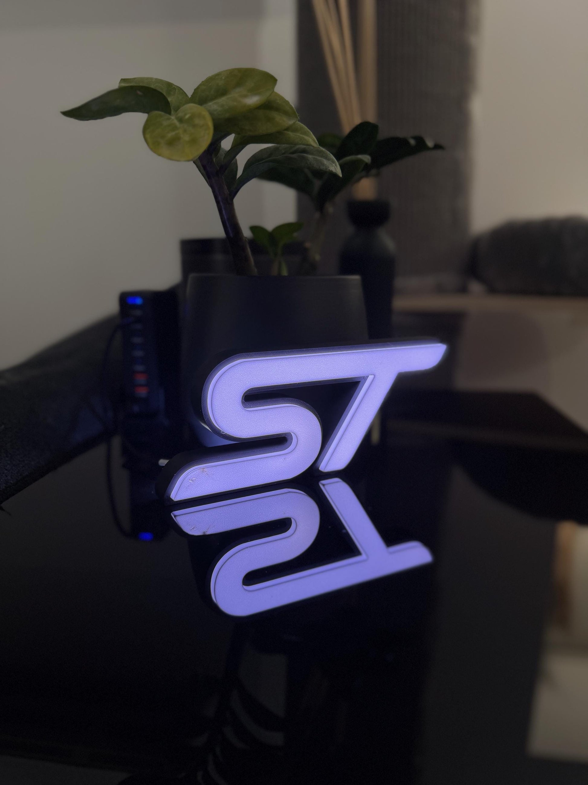 Ford ST Lightbox – Stylische Beleuchtung für echte Fans!