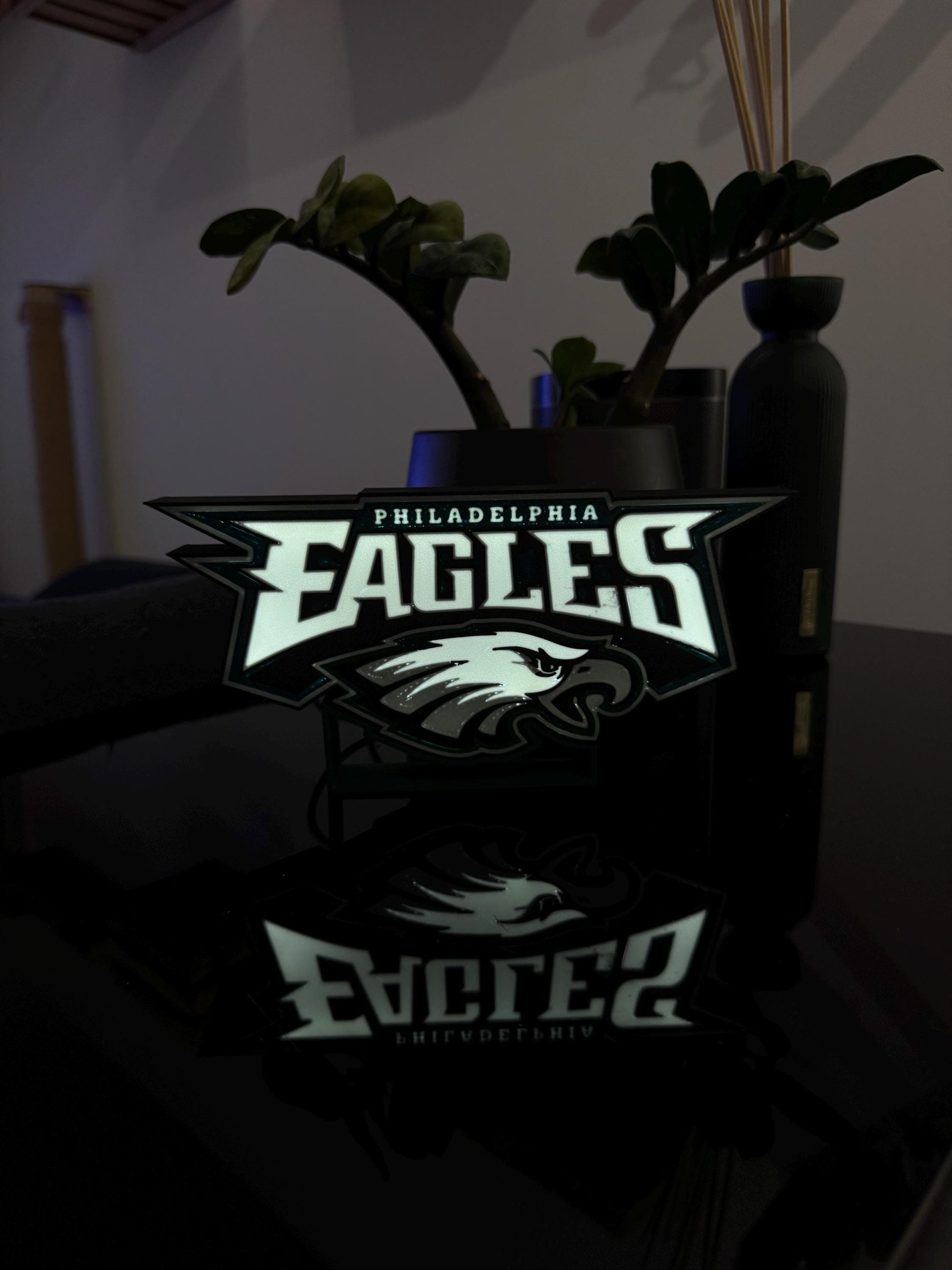 Philadelphia Eagles Lightbox – Perfekte Deko für echte Fans!
