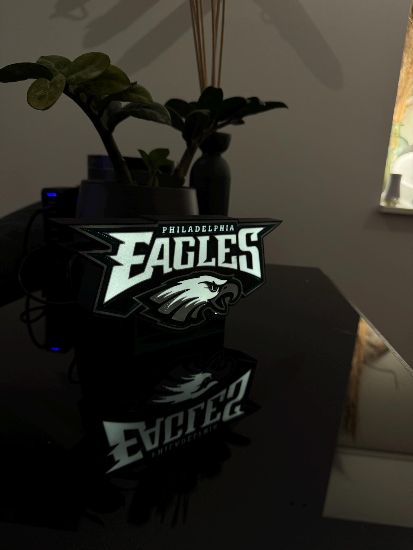 Philadelphia Eagles Lightbox – Perfekte Deko für echte Fans!