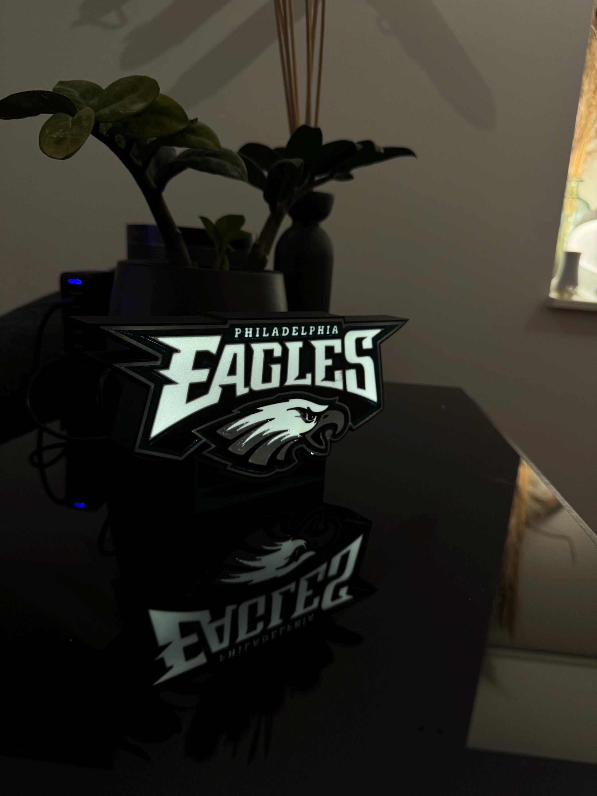 Philadelphia Eagles Lightbox – Perfekte Deko für echte Fans!