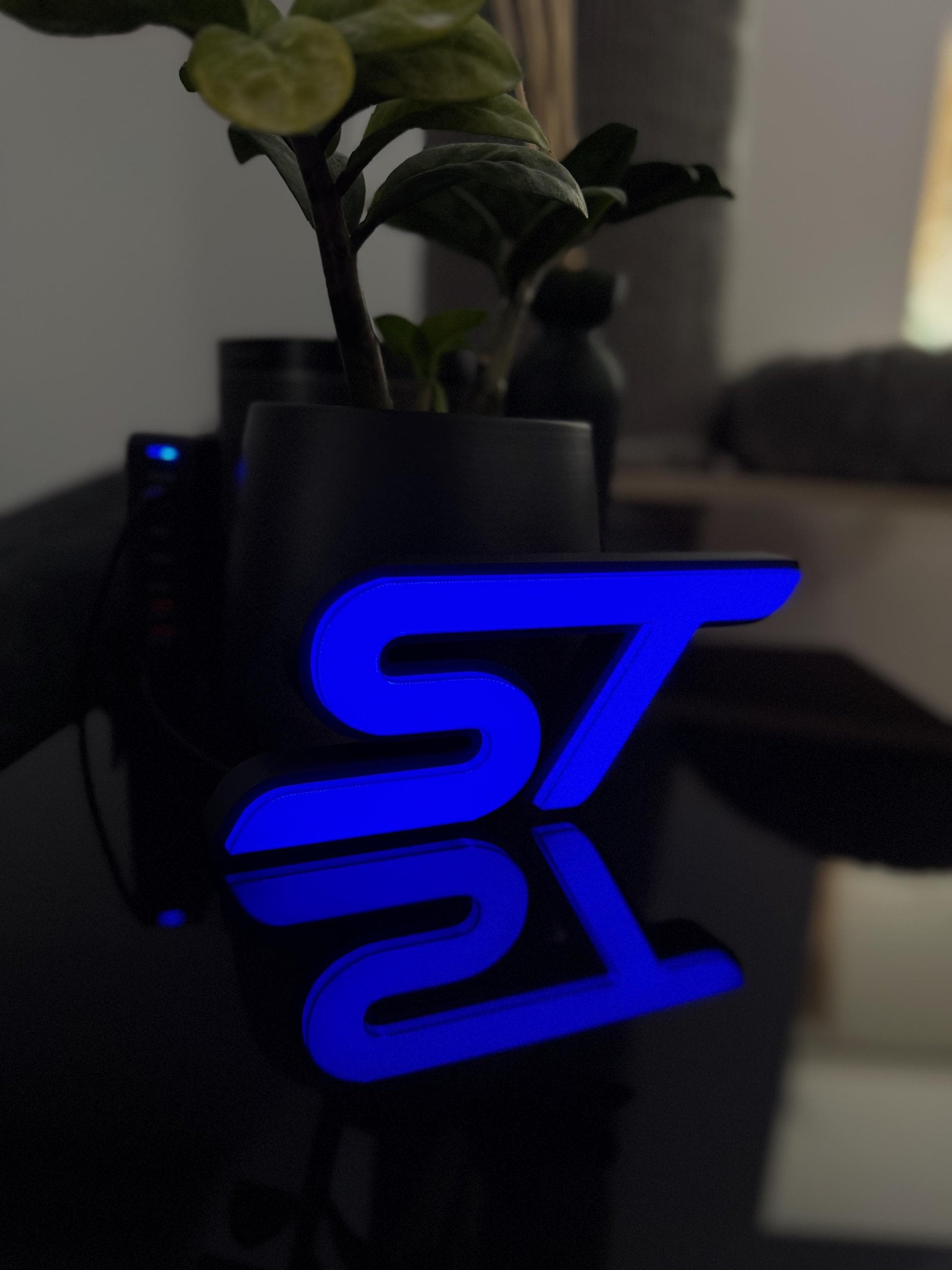 Ford ST Lightbox – Stylische Beleuchtung für echte Fans!