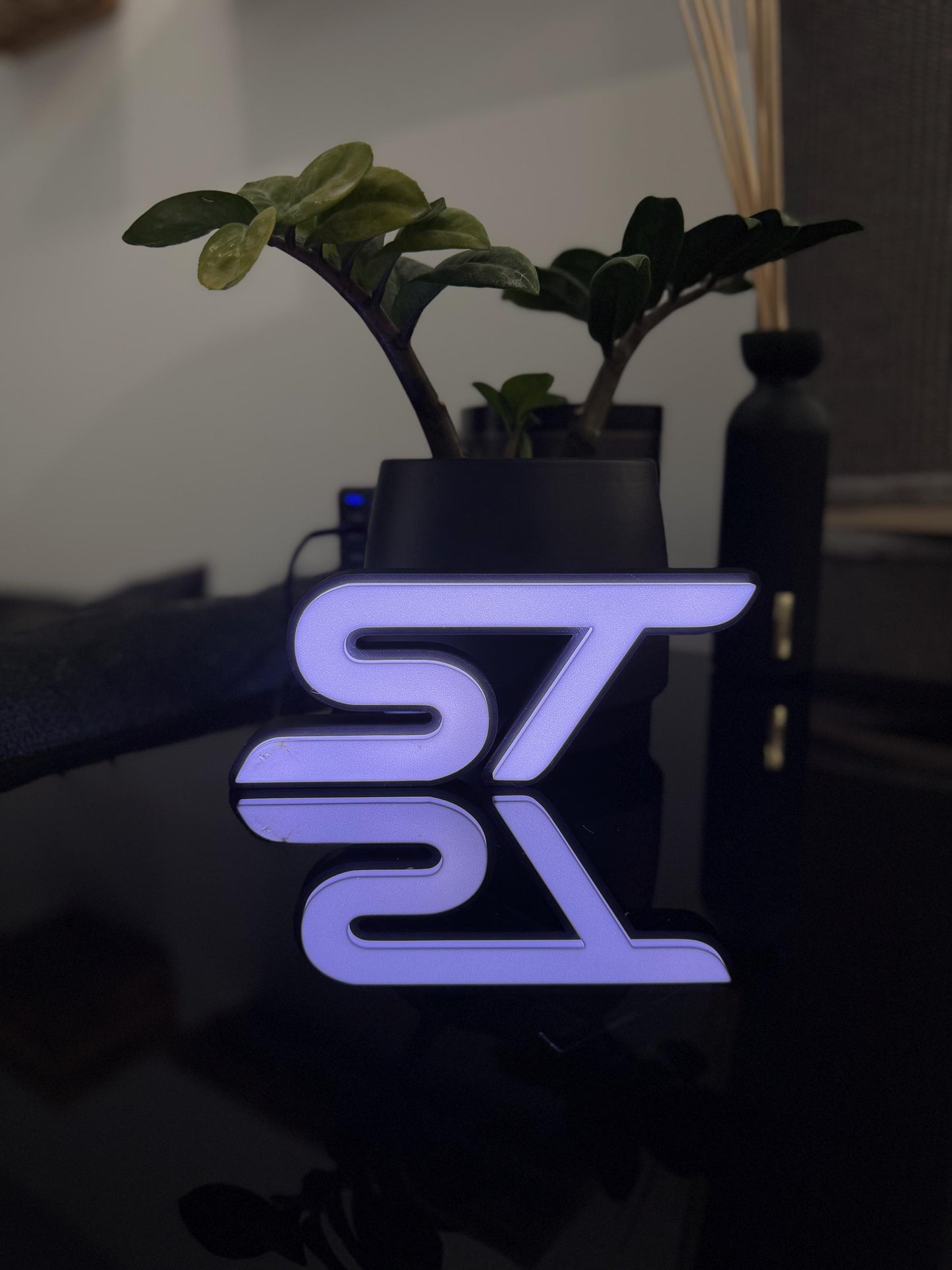 Ford ST Lightbox – Stylische Beleuchtung für echte Fans!