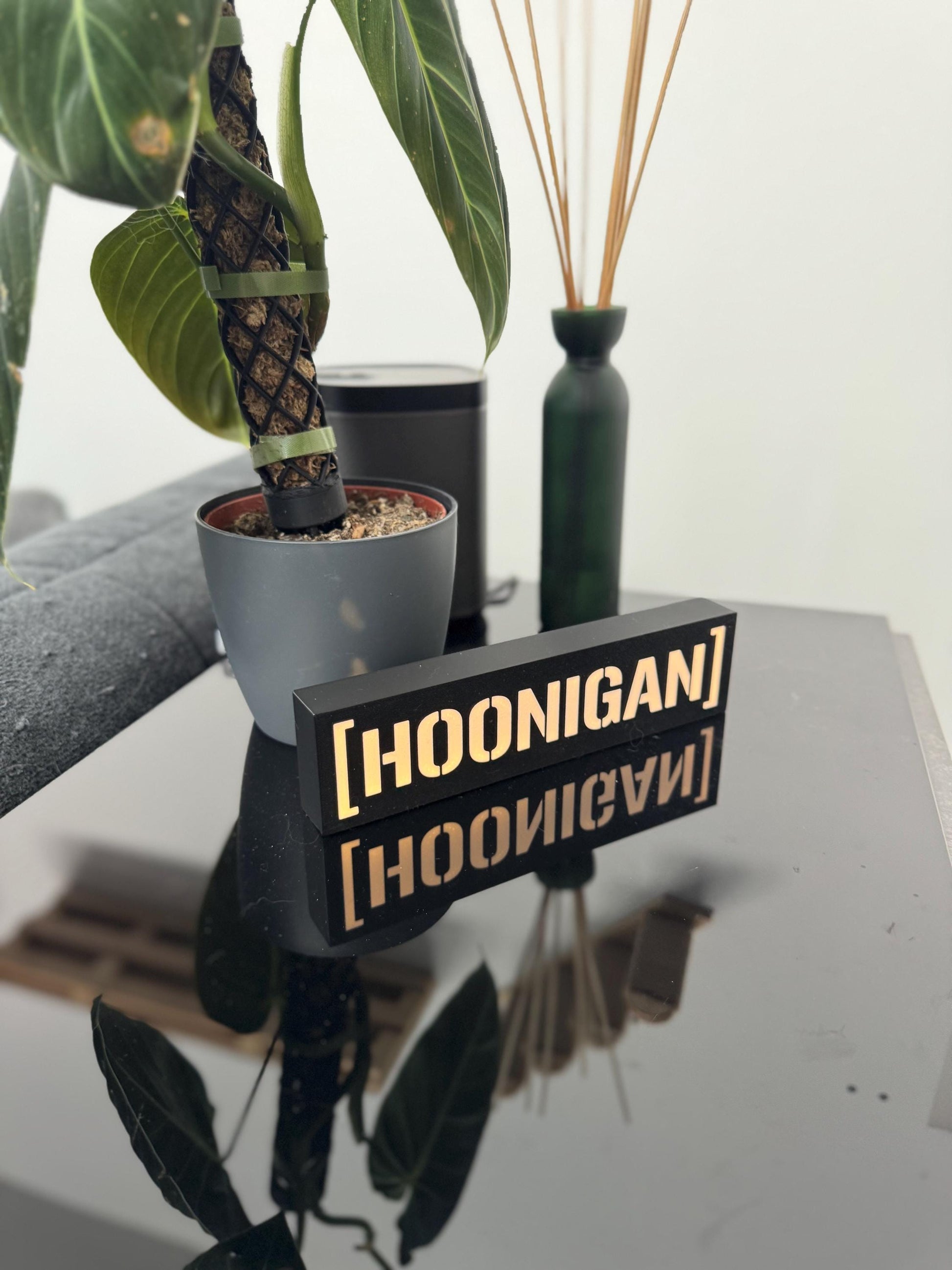 Hoonigan Lightbox – Handgefertigtes LED-Dekolicht für Motorsport-Fans