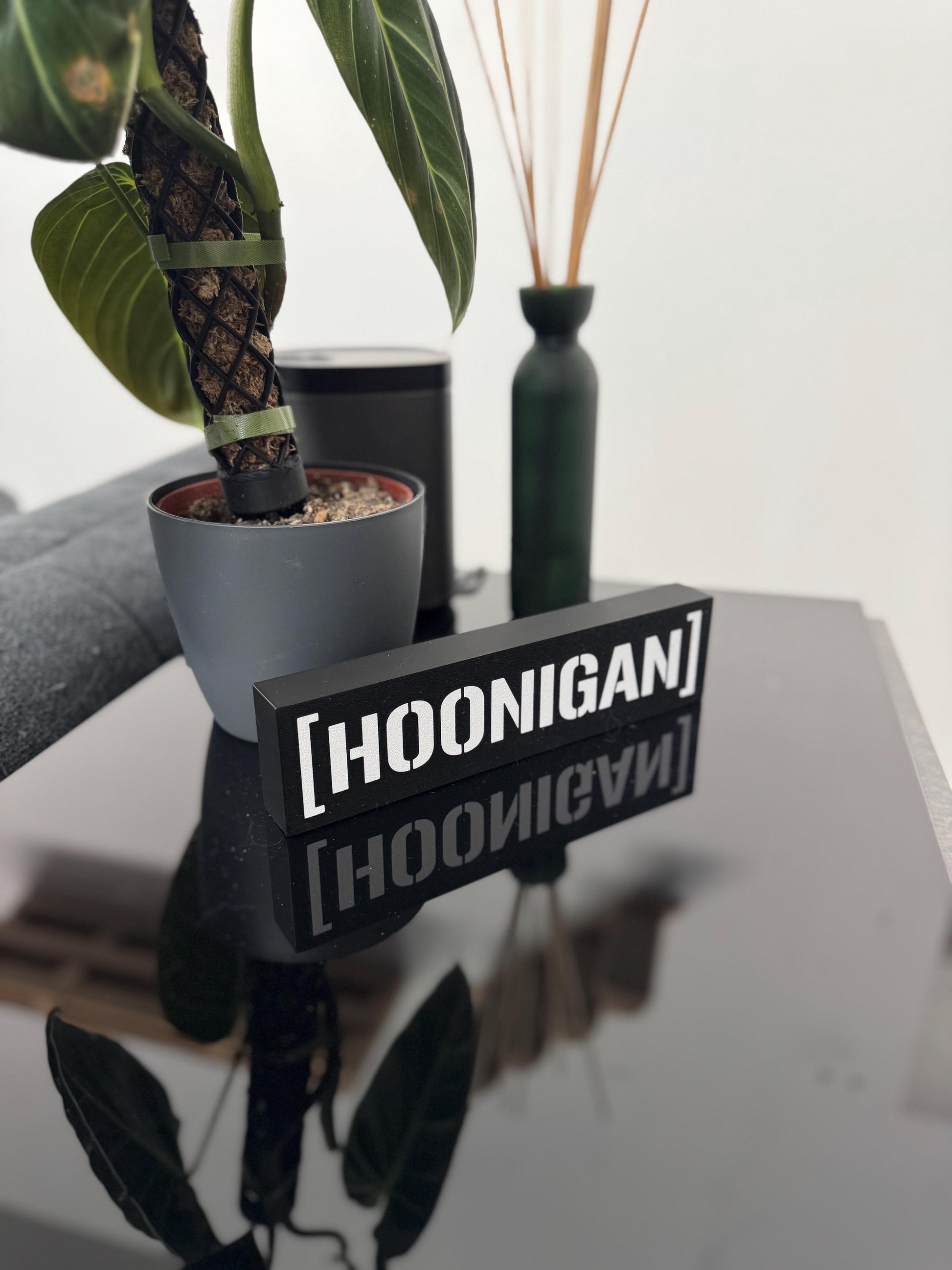 Hoonigan Lightbox – Handgefertigtes LED-Dekolicht für Motorsport-Fans